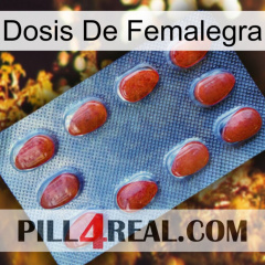 Femalegra Dosage 06